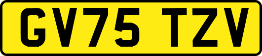 GV75TZV