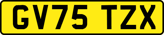 GV75TZX