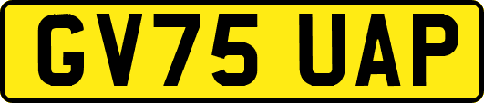 GV75UAP