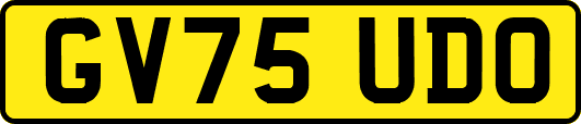 GV75UDO