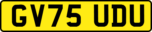 GV75UDU