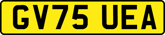 GV75UEA
