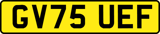 GV75UEF