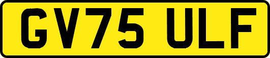 GV75ULF