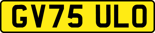 GV75ULO