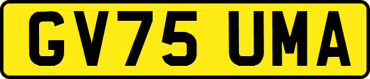 GV75UMA