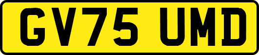GV75UMD