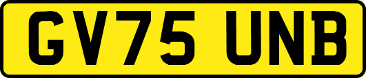 GV75UNB