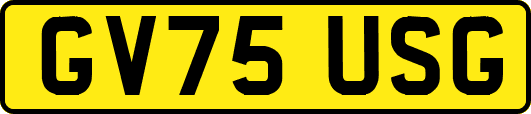 GV75USG