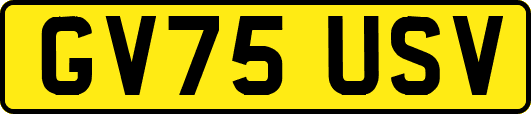 GV75USV