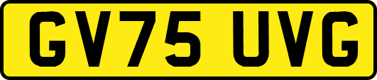 GV75UVG