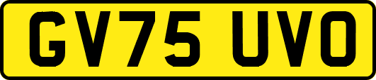 GV75UVO