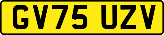 GV75UZV