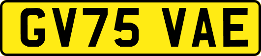 GV75VAE