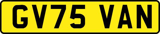 GV75VAN