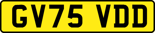 GV75VDD