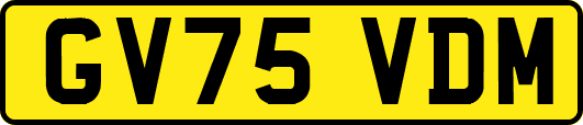 GV75VDM