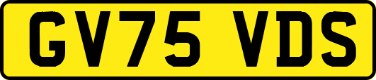 GV75VDS
