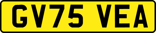 GV75VEA