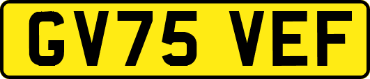 GV75VEF