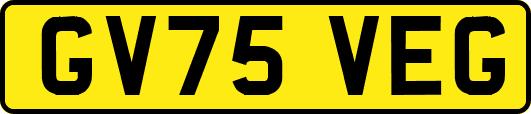 GV75VEG