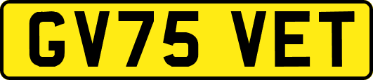 GV75VET