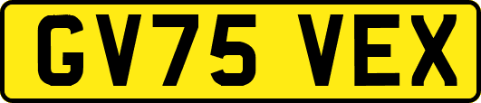 GV75VEX