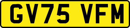 GV75VFM