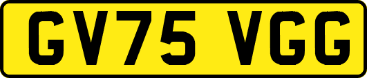 GV75VGG