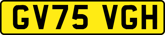 GV75VGH