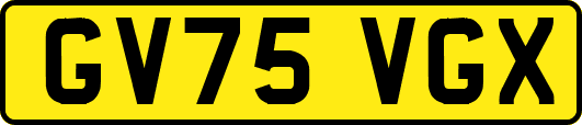 GV75VGX