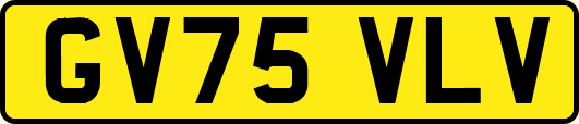 GV75VLV