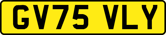 GV75VLY
