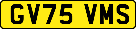 GV75VMS