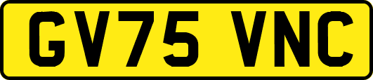 GV75VNC