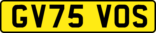 GV75VOS