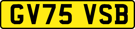GV75VSB