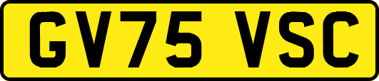 GV75VSC