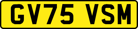 GV75VSM