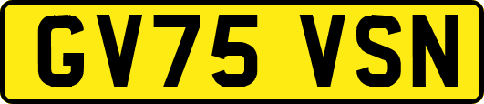GV75VSN