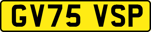 GV75VSP