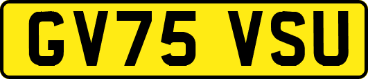 GV75VSU