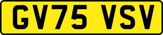 GV75VSV