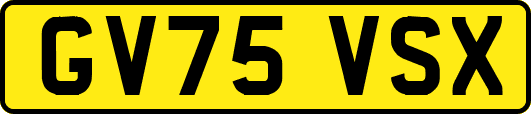 GV75VSX