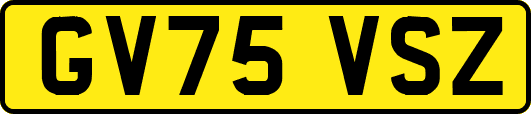 GV75VSZ