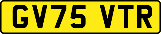 GV75VTR