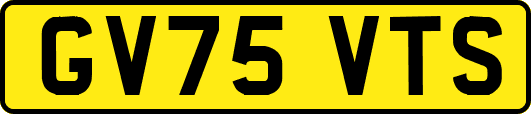 GV75VTS