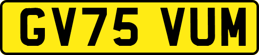 GV75VUM