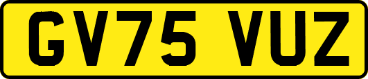 GV75VUZ