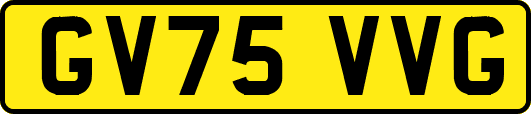 GV75VVG